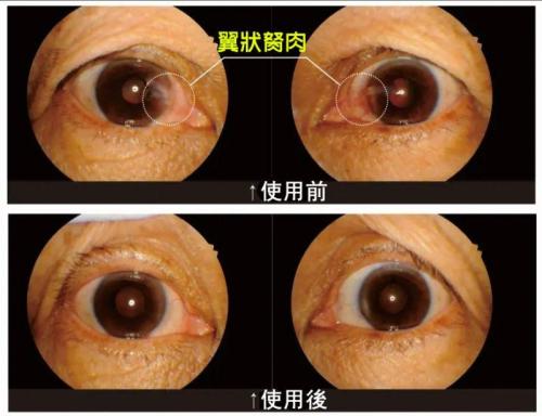 1685783164888123.jpg